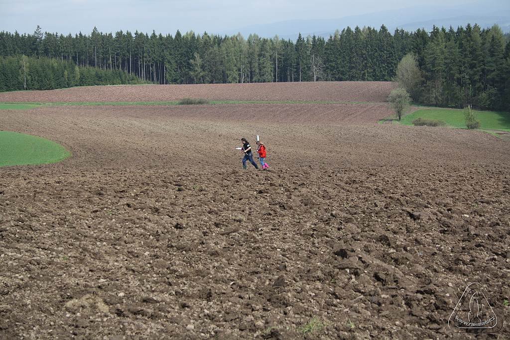2013 Svojek Mirek Topinka